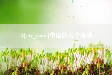 和田中国的几个金牌