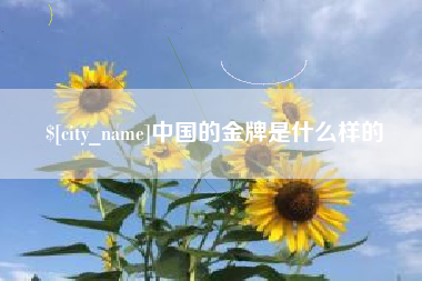 和田中国的金牌是什么样的
