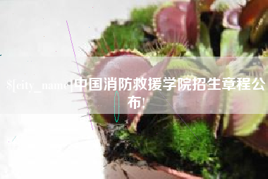 和田中国消防救援学院招生章程公布!
