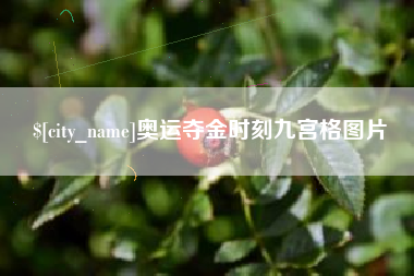 和田奥运夺金时刻九宫格图片