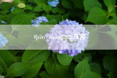 和田2022九宫