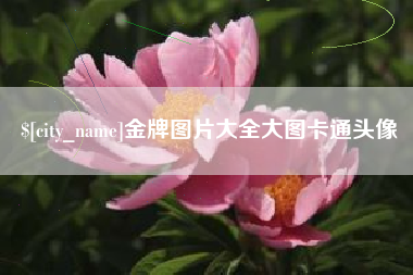 和田金牌图片大全大图卡通头像