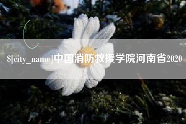 和田中国消防救援学院河南省2020